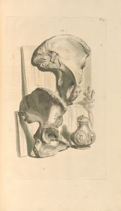 Anatomia humani corporis Pl.100