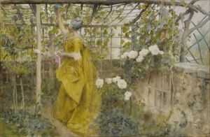 The Vine