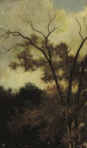Woodland Landscape