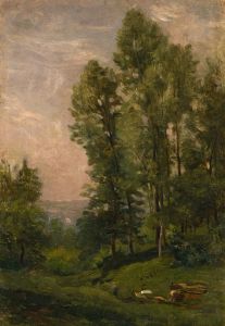 Paysage Stade de création étude