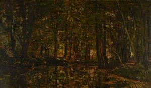 Ruisseau sous bois