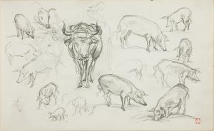Sketches of Swine and an Ox