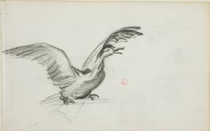 Wild Duet