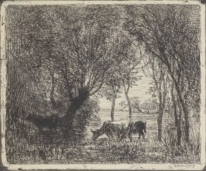 Cows in woods