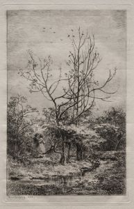 The Orchard