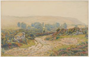 Brume et rosée. Landes de Pors Léonnec. Morgat