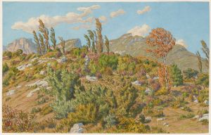 Plateaux de Barberaz