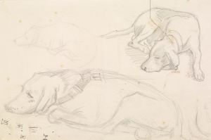 Three Studies of a Sleeping Dog