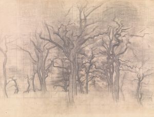 Oak Trees