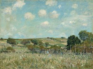 Meadow