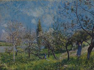 Orchard in Spring