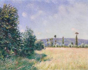 Sahurs Meadows in Morning Sun