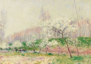Les Pommiers En Fleurs