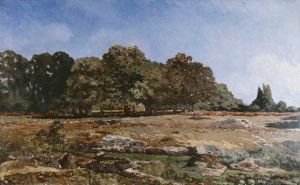 Lisière de la forêt de Fontainebleau
