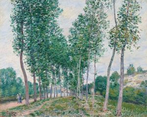 L’allée des peupliers au bord du Loing