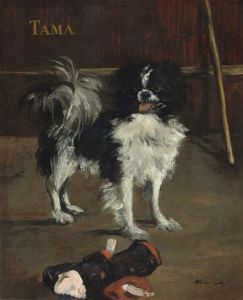 Tama,the Japanese Dog