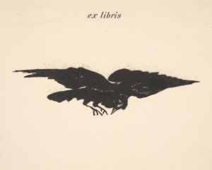 Flying Raven