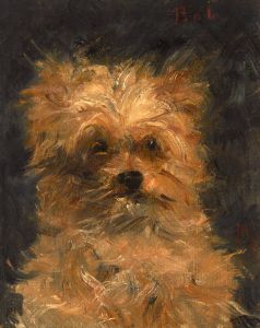 Tête du chien ‘Bob’