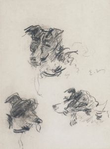 Têtes de chiens