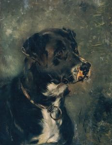 Kopf eines Fleischerhundes Hundekopf