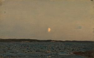 Fjordstudie