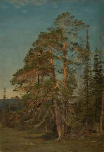 Furuer, Levanger