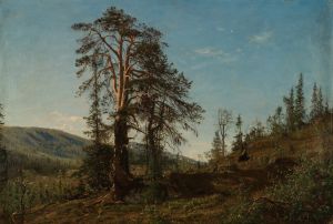 I Vingeråsheia, Telemark