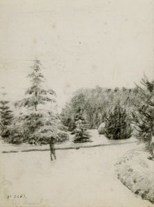 Study of a Garden
