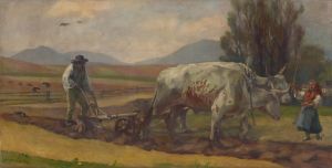 Ploughing