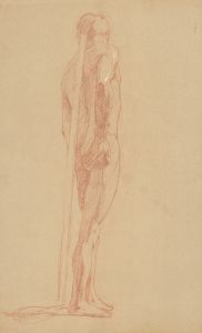 Study of the male nude