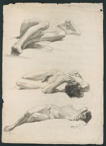 Study of the male nude