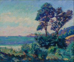Marine À Saint-Palais
