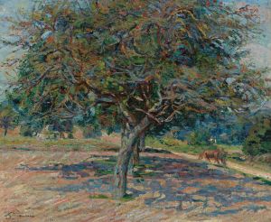 Arbres En Île-De-France