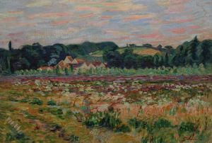Prairie à Epinay sur Orge, le soir