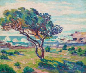 Paysage du midi, vue du Brusc