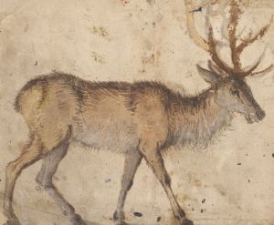 Study of a Stag