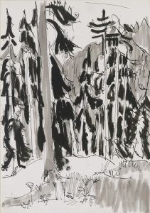 Spruces in the mountains
