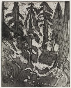 Bergwald
