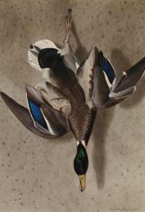 Hanging Mallard