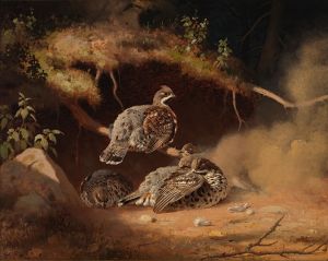 Hazel Grouse Wallowing In Sand