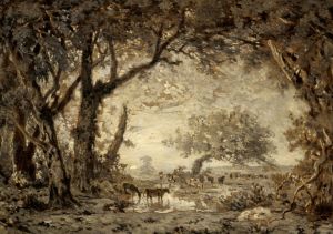 Sunset from the Forest of Fontainebleau