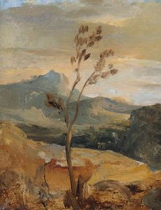 Paysage d’Auvergne