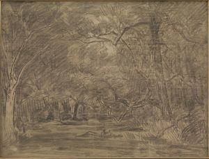 The interior of a forest