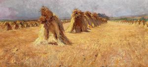 Kornfeld