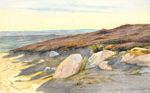 Fra Gærum bakker i Vendsyssel, 22. maj 1833
