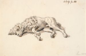 Liggende puddelhund