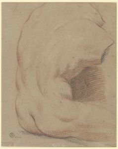 Rückenansicht eines männlichen Torso