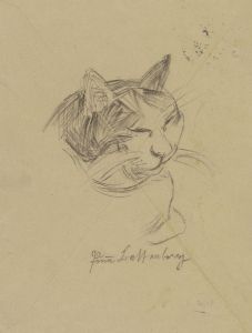 A cat’s head