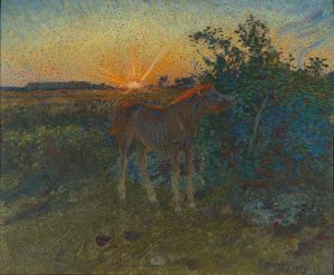 Foal