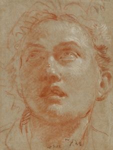 Head of a Man Looking Up